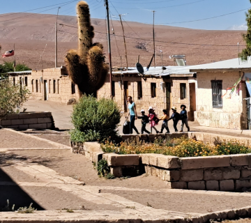 Escuela verano  360x320