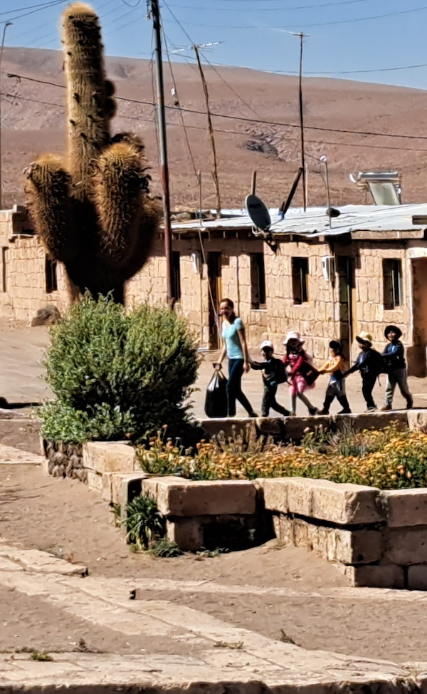Escuela verano  600x974