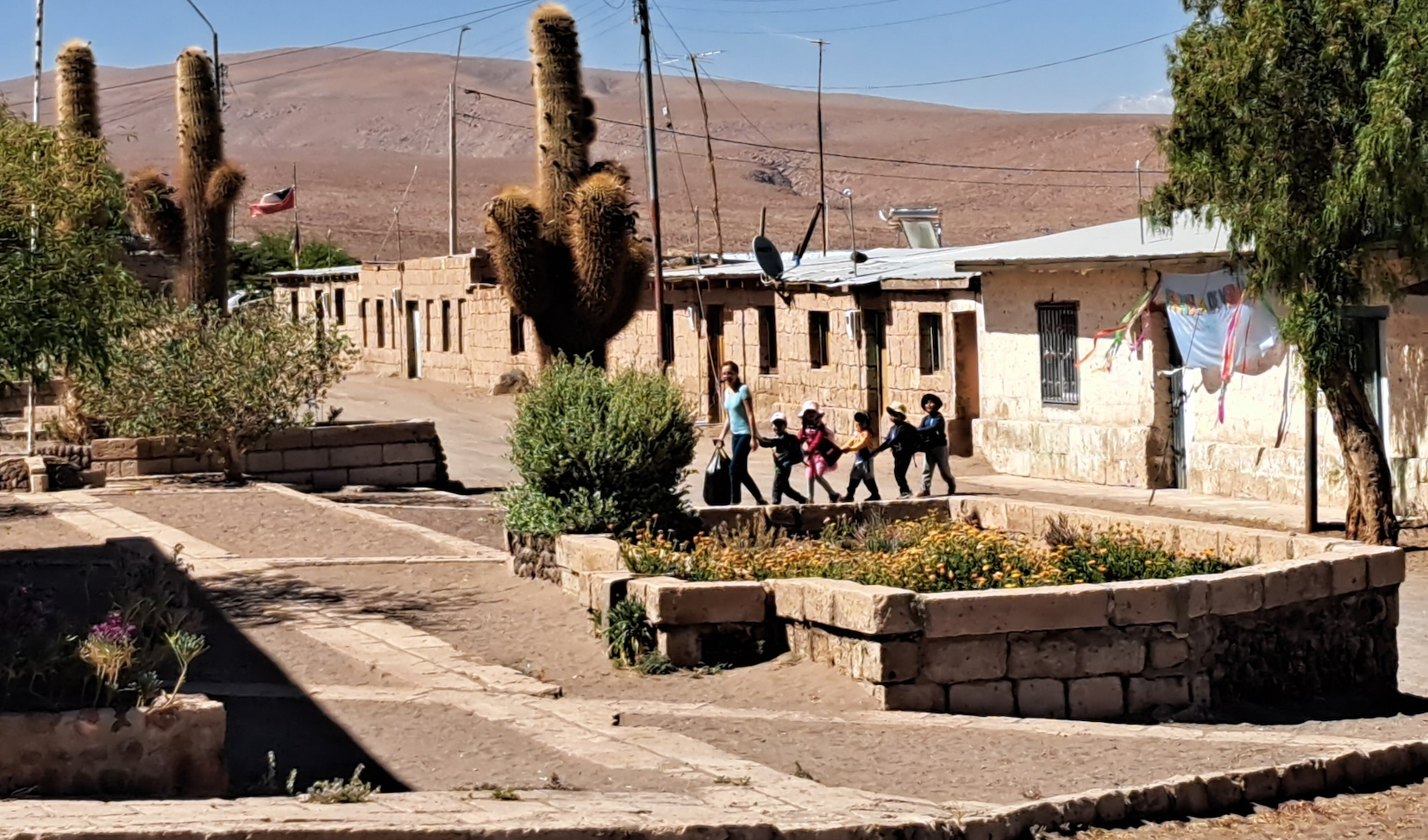 Escuela verano 